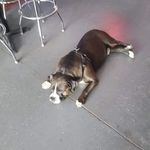 Jeff Pack - @accounting452002 - Instagram