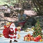 Jeff Pack - @pack2680 - Instagram