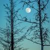jeffpacker5 - @relationshiptools - TikTok