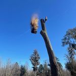 Jeff Padgett - @stihl_cutting - Instagram