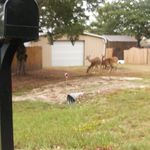 Jeff Padgett - @padgett.jeff - Instagram