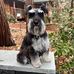 Jeffrey Padgett - Facebook