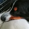 jeff_papa - @jeff_papa - TikTok