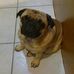 Jeff Pardue - Facebook