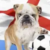 Jeff Parr - @jeff.parr3 - TikTok