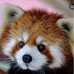Jeff Parrish - @old_account_dont_followl - Instagram