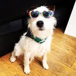 Parson Jeff - @parson_jeff - Instagram
