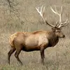 Jeff_Passmore - @jeff_passmore - TikTok