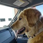 Jeff Julie Paulson - @jeff.paulson.5 - Instagram