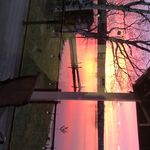 Jeff Paulson - @jefflarae - Instagram