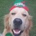 Jeff Peake - Facebook