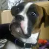 Jeff Pearson - @jeff.pearson1 - TikTok