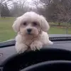 jeffpearson785 - @jeffpearson785 - TikTok