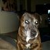 Jeff Penn - Facebook
