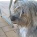 Jeff Penrose - Facebook