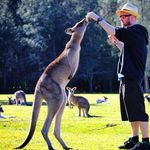 Jeff Pepper - @jeff.pepper.944 - Instagram