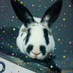 Jeff Perez - Facebook