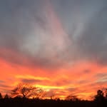Jeff person - @jeff_person_ - Instagram