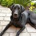 Jeff Pinder - Facebook