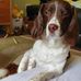 Jeff Plain - Facebook