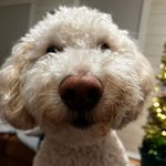 Jeff Plante - @jplante7 - Instagram