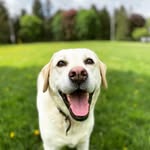 Jeff Playford - @jeffplayford_cdn - Instagram