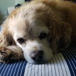 Jeff Plummer - @jefplummer - Instagram