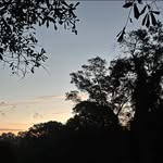 Jeff Poe - @crustacean_sensation630 - Instagram
