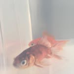 @jeff.e.polly - Instagram