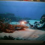 Jeff Powelson - @scubapdx - Instagram
