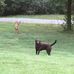 Jeff Powelson - Facebook