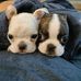 Jeff Primm - Facebook