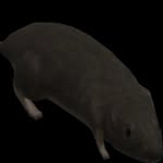 jeffpringles - @jeffpringles - Instagram