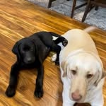 Jeff Provost - @provost.jeff - Instagram