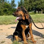 Jeff Putnam - @abagail.putnam.9 - Instagram