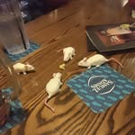 Jeff Pyle - @ratboyarchive - Instagram