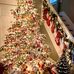 Jeff Quattlebaum - Facebook