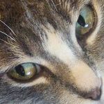 Jeffrey Raab - @jeffraab5 - Instagram