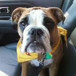 Jeff Radcliffe - @radcliffe.jeff - Instagram