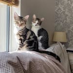 Jeff and Ralph - @jeff_and_ralph - Instagram
