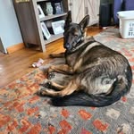 Jeff Ralph - @revjeff989 - Instagram