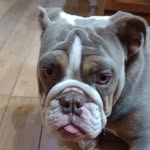 Jeff Ralph - @jtralph68 - Instagram