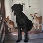 Jeff Ralph Leroy - @jeff_leroy_ralph - Instagram