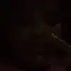Jeff Ralpho - @jeffralpho3 - TikTok