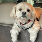 Jeff Ramey - @jeff.ramey.39 - Instagram