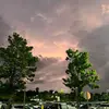 lillybalm - @jeff.ramirezz0 - TikTok