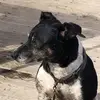 jefframseier872 - @jefframseier872 - TikTok