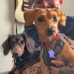 Jeffrey and Jessica Rappaport - @chalupaandjeff - Instagram