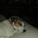 Jeff Rasch - @shlooplord - Instagram