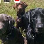 Jeff Raun - @jeff_raun - Instagram